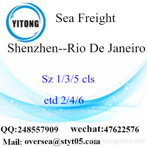 Shenzhen Port LCL Consolidação Para Rio De Janeiro